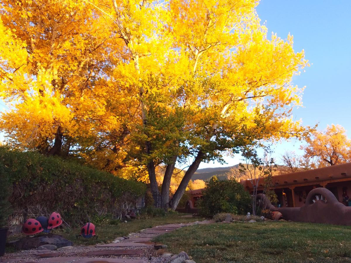 Inn On The Rio Taos Dış mekan fotoğraf